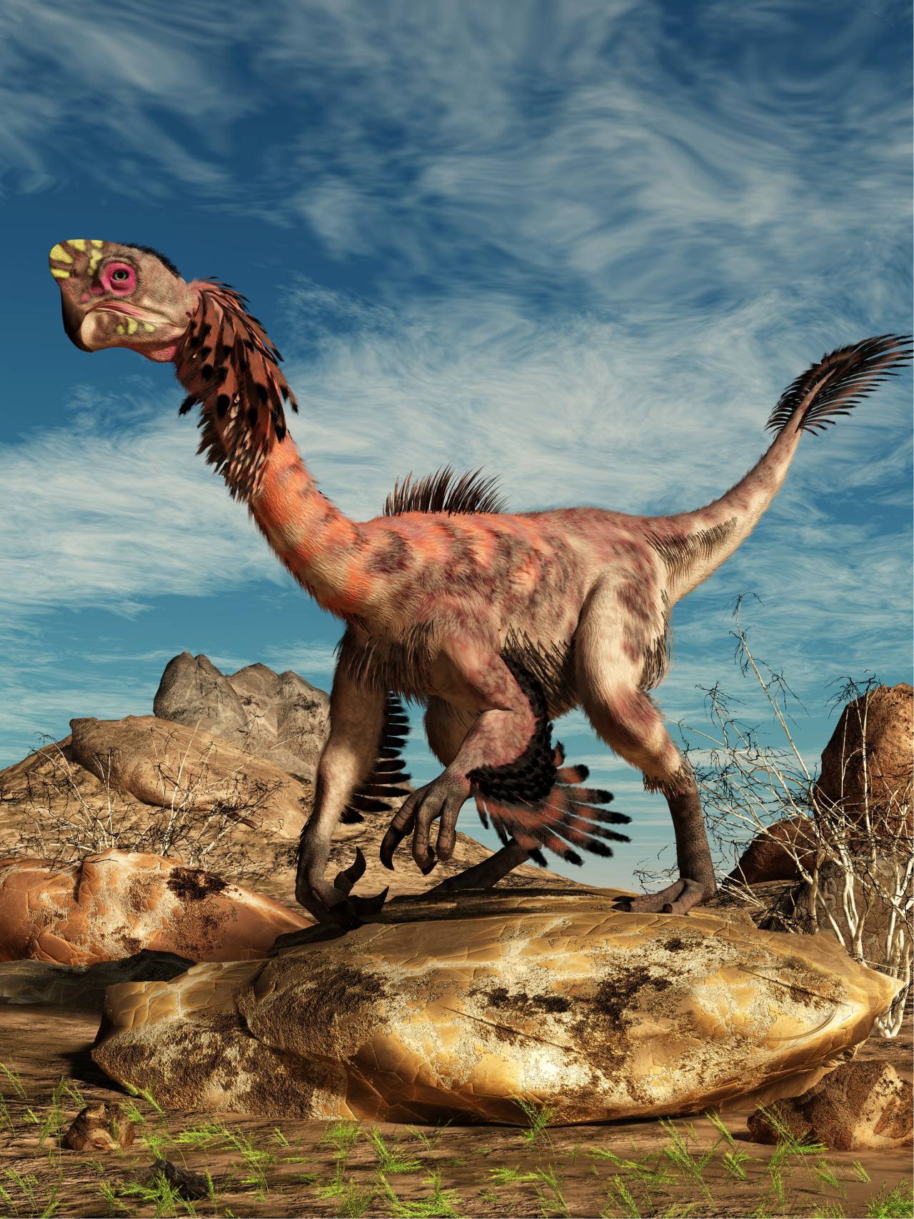 citipati-oviraptor